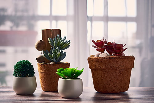 Pots & Planter Pots & Planter